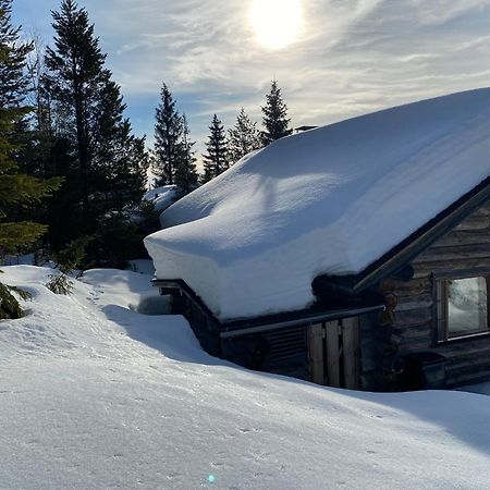 Villa Saarua By The Slopes Ski In, Family & Bike Park, Hike Trails, National Park, Wifi - Lapland Villas Рука Экстерьер фото