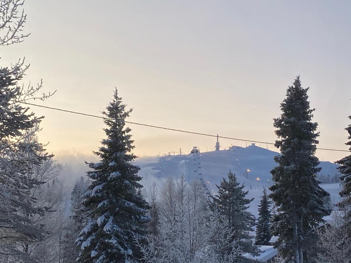 Villa Saarua By The Slopes Ski In, Family & Bike Park, Hike Trails, National Park, Wifi - Lapland Villas Рука Экстерьер фото