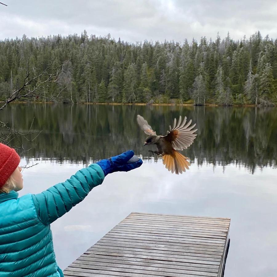 Villa Saarua By The Slopes Ski In, Family & Bike Park, Hike Trails, National Park, Wifi - Lapland Villas Рука Экстерьер фото