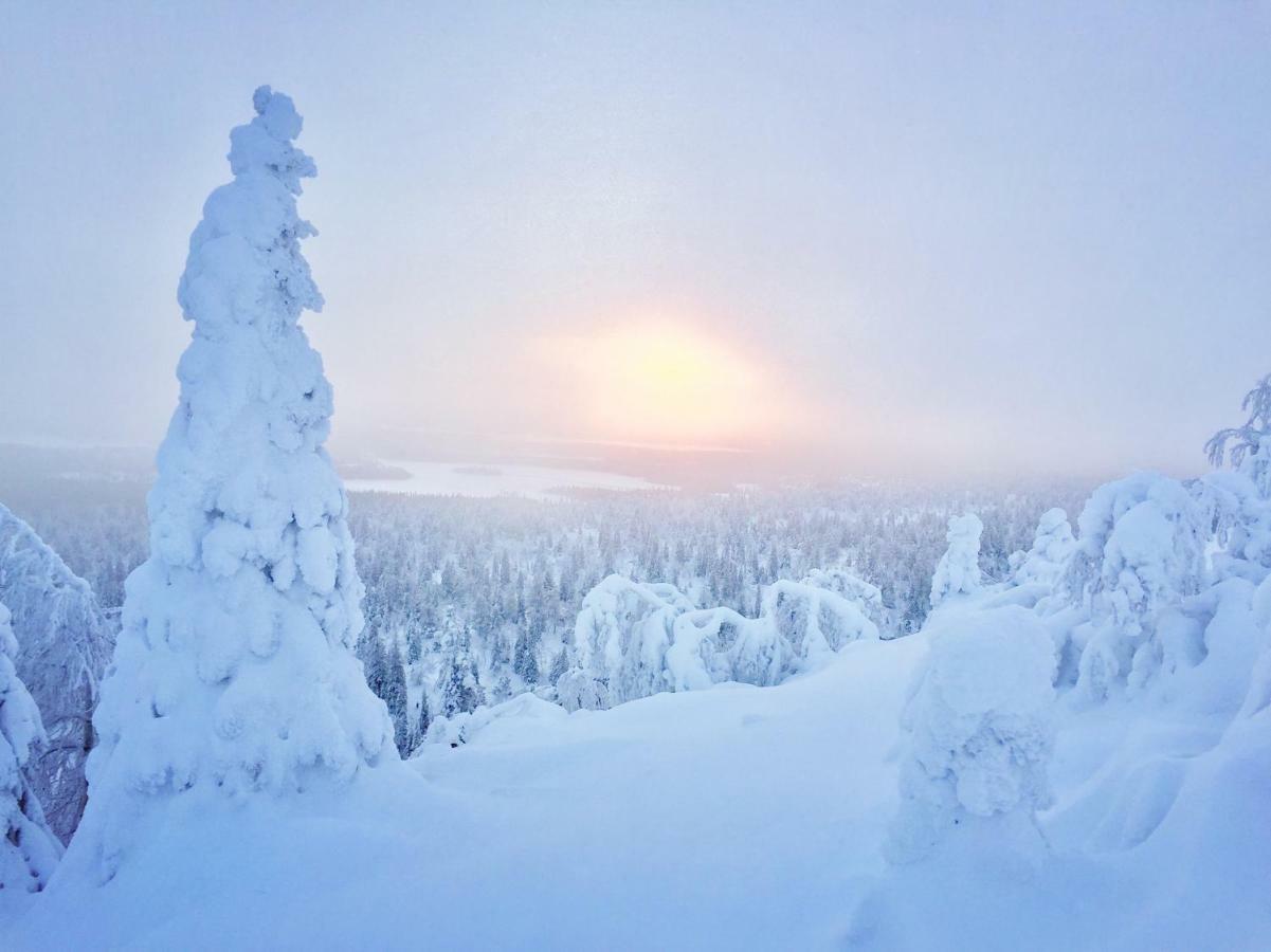 Villa Saarua By The Slopes Ski In, Family & Bike Park, Hike Trails, National Park, Wifi - Lapland Villas Рука Экстерьер фото