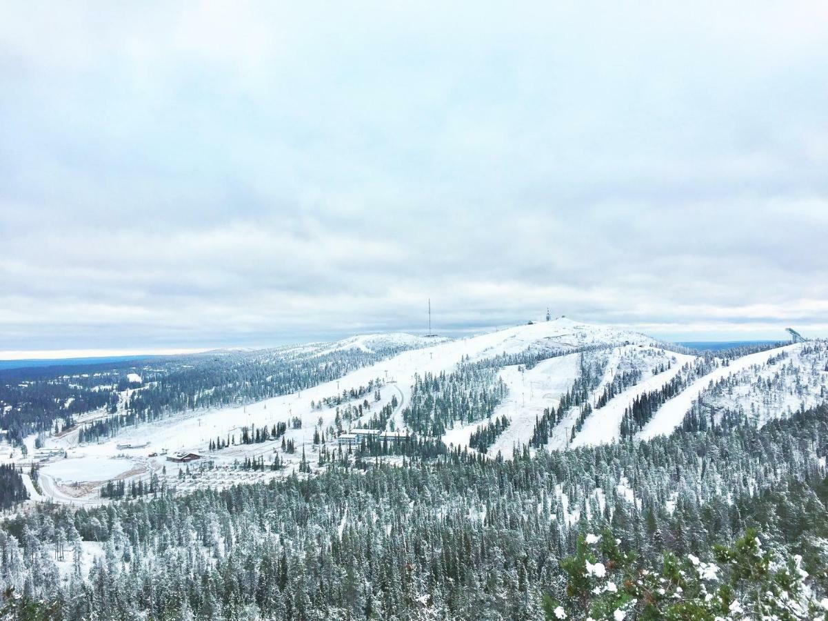 Villa Saarua By The Slopes Ski In, Family & Bike Park, Hike Trails, National Park, Wifi - Lapland Villas Рука Экстерьер фото