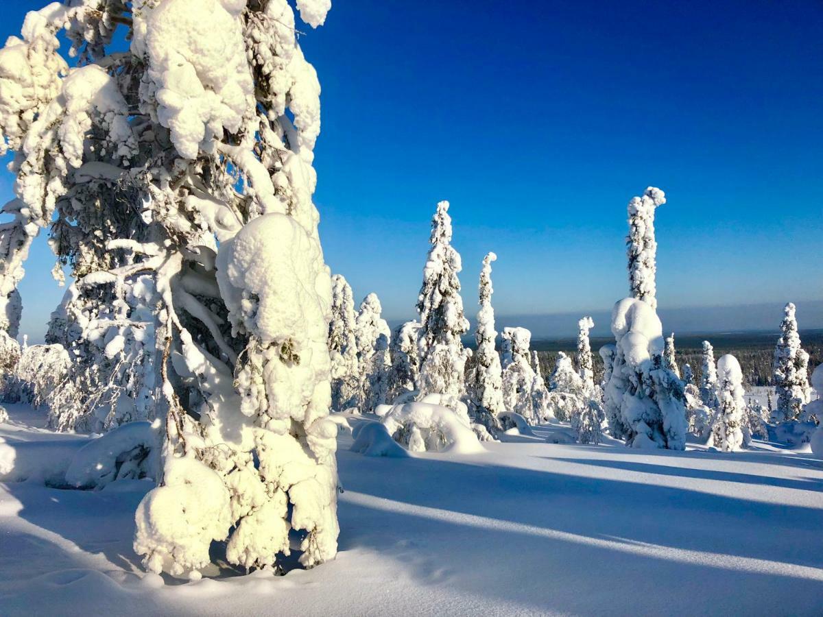 Villa Saarua By The Slopes Ski In, Family & Bike Park, Hike Trails, National Park, Wifi - Lapland Villas Рука Экстерьер фото