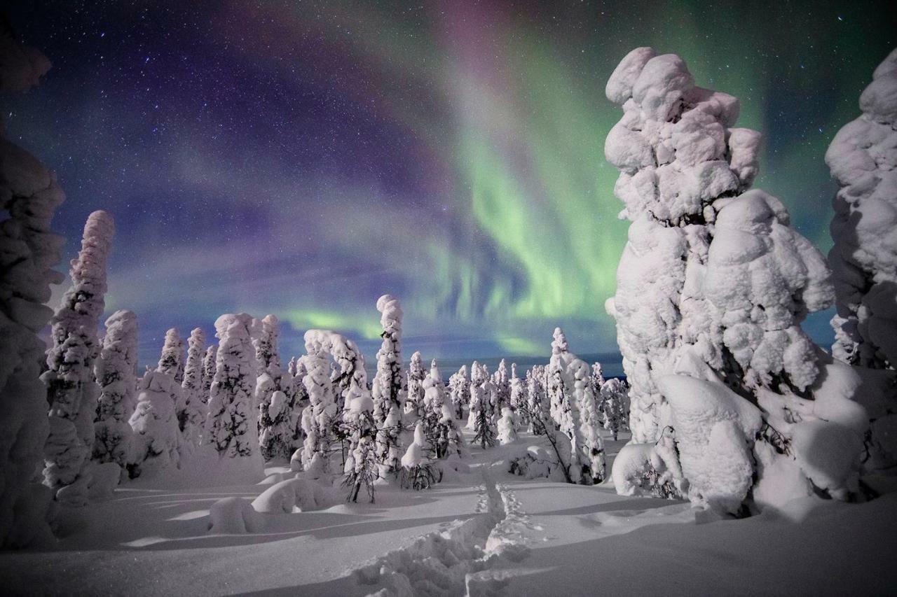 Villa Saarua By The Slopes Ski In, Family & Bike Park, Hike Trails, National Park, Wifi - Lapland Villas Рука Экстерьер фото